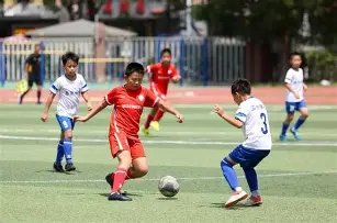 全红婵退出,国家队传闻,澄清,Bg大游真人娱乐官方网站,视频直播,免费试玩,Big,Gaming